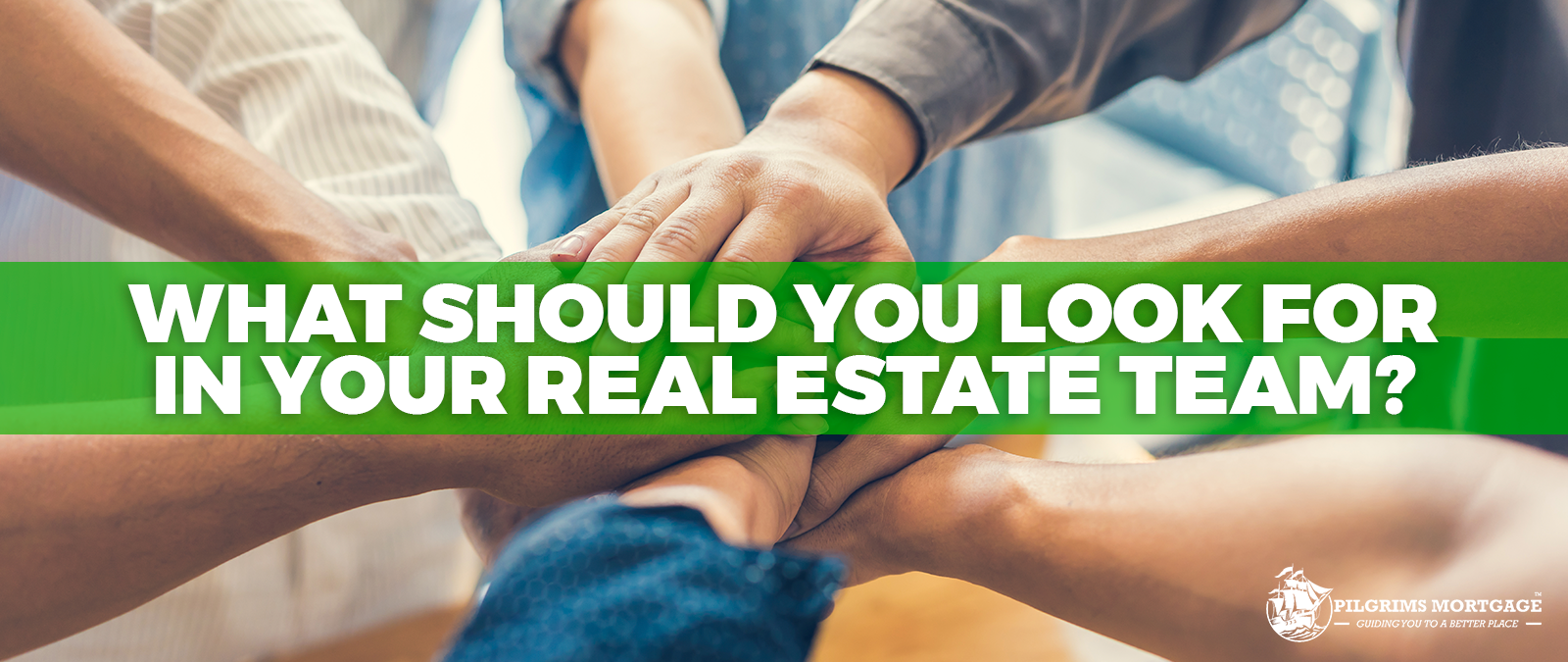 What Should You Look For In Your Real Estate Team?