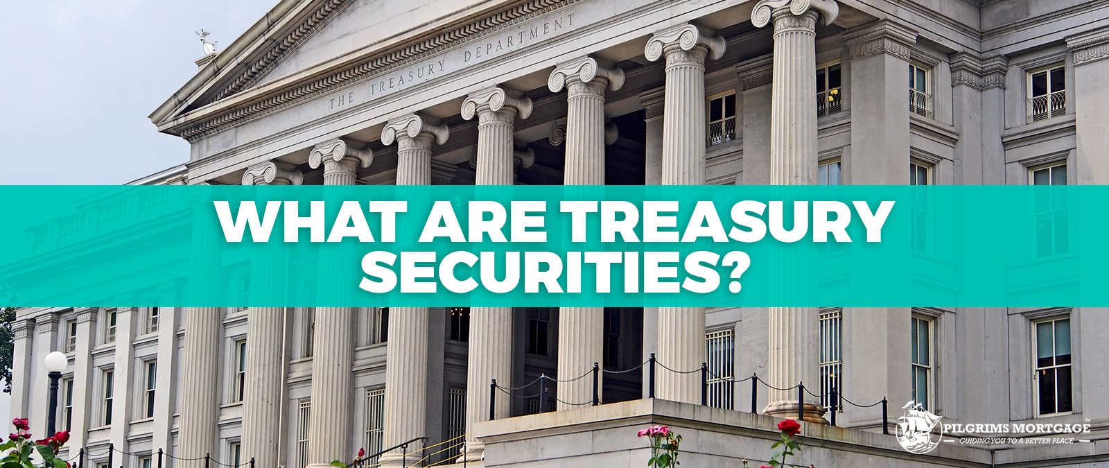 What Are Treasury Securities